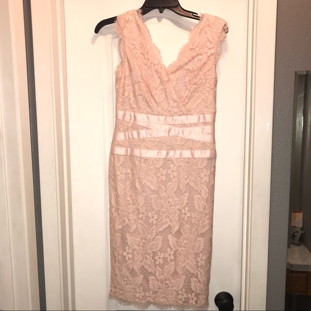 Adrianna Papell Blush Lace Dress